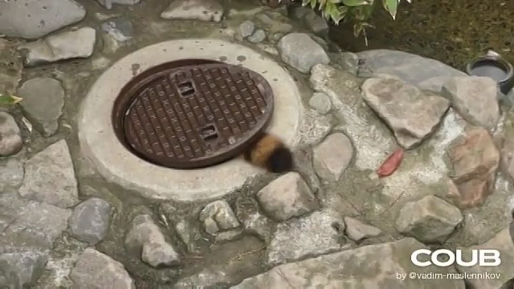 �������� �������� ����������� �� ����������� �����, ���� �������, ����������