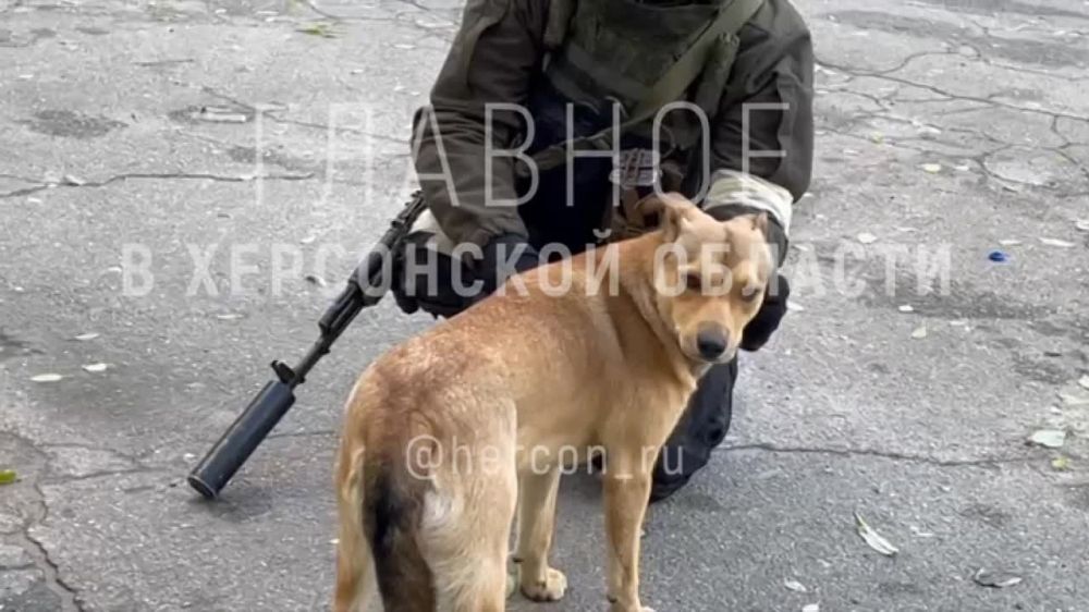 ���� ������ �� ����� ��� ����� �������� � ������� ������ ����� � �������