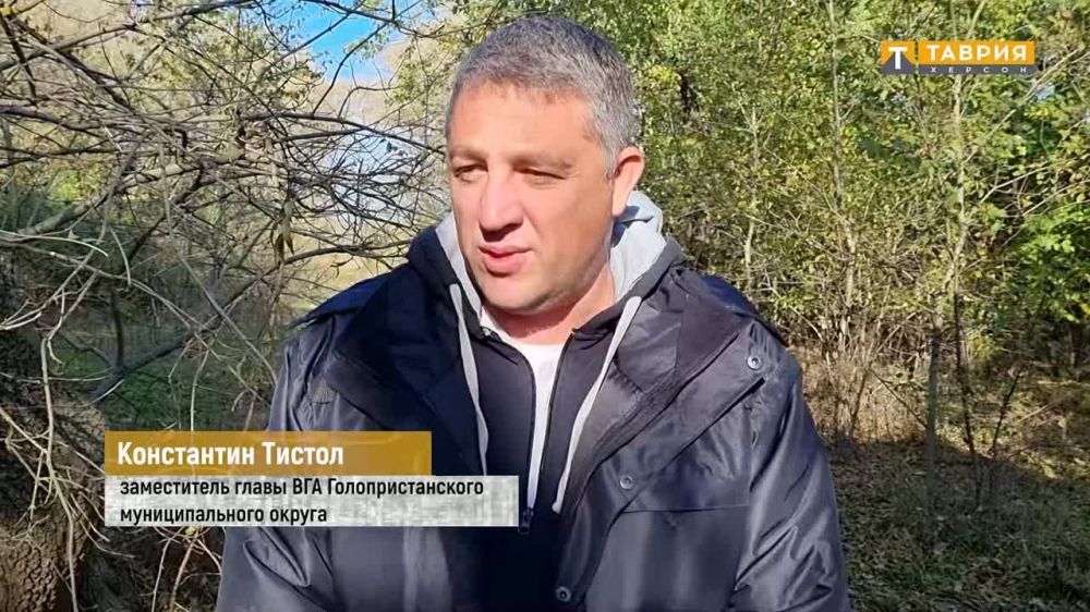 ����������� ���� - ���������� ������� ������� ���������� ������� � ������������ �������