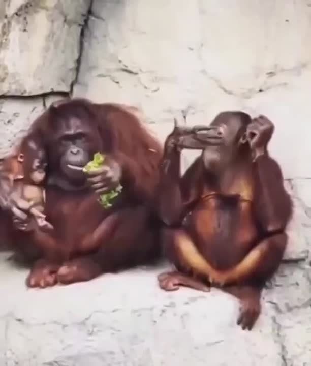 ��� ���������� �������������� ���������� ������ ������� � ���� �������� ������ �������������� ��� �� �������� ����������� ��� �� ��������������� ������ ���� �����