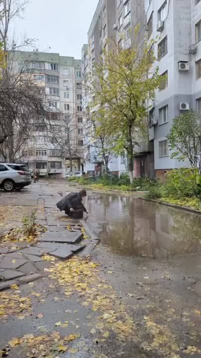 ������ � �������� ���������� ���������