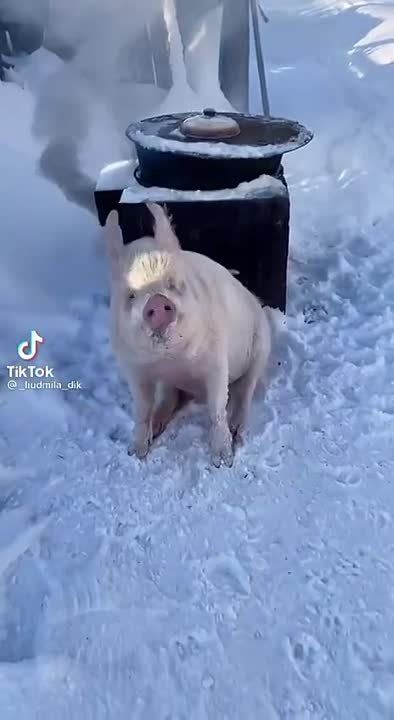 �������. ���� 2022 ������!!!