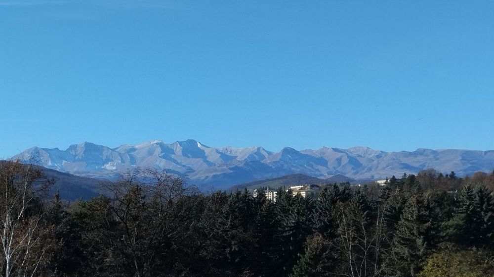 ������ ���������� �������������� ������ ��� �������� �������� �������� ���� ���� � �������, � ���������, ��� ��� ������ � ��������