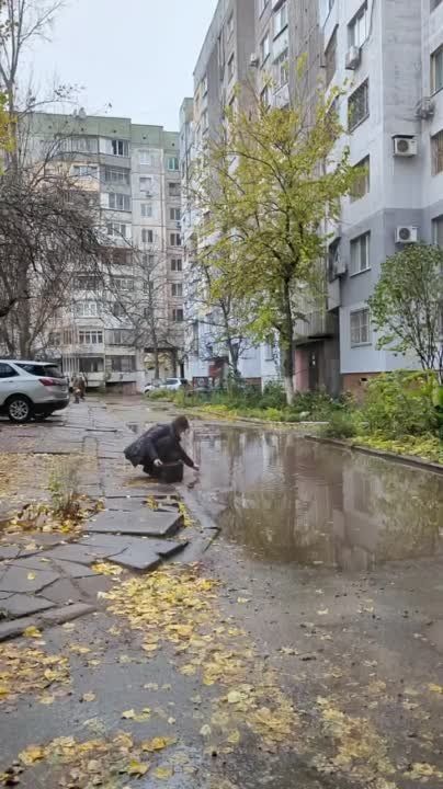 ������. ���������� ��� ������