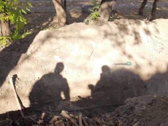 ������ ������������� ���� ����� ���������� ������� ������ ������� ������������� �����