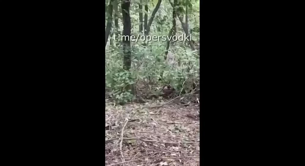 ����� ���������: ������ �� ��������� ����� ��������� ����� ������: