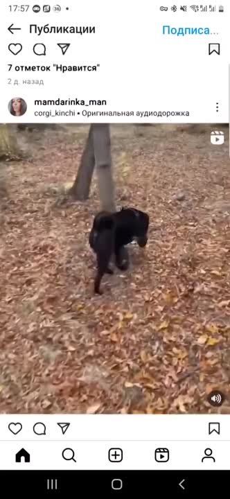 ���� ����� �� 1700 ������