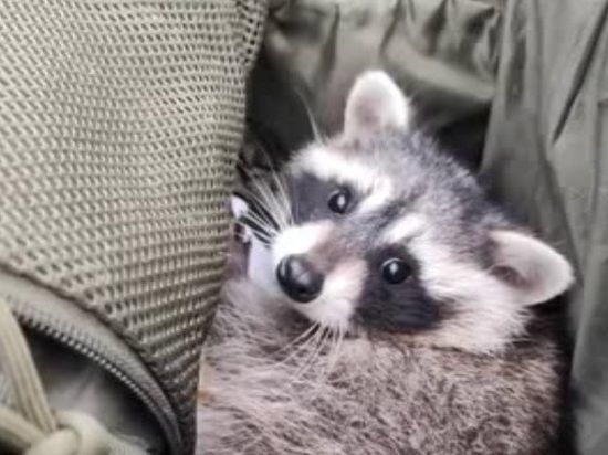 "�� ��� ����������": ���������� ���������� ���������� ������ "��������"