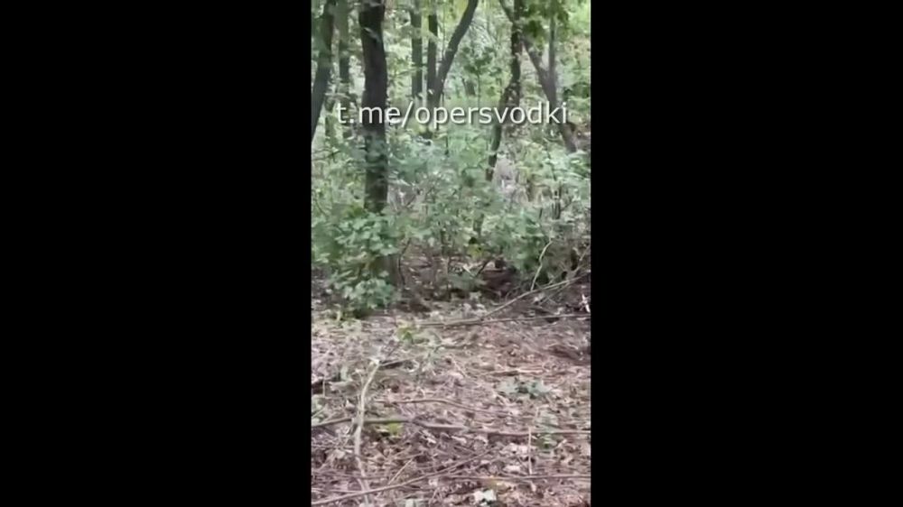 ���������, �������� �����, 18+! ��������� �������������� ������� ������������ ��� � ���������� ������������ ������������� ������� ������� ������