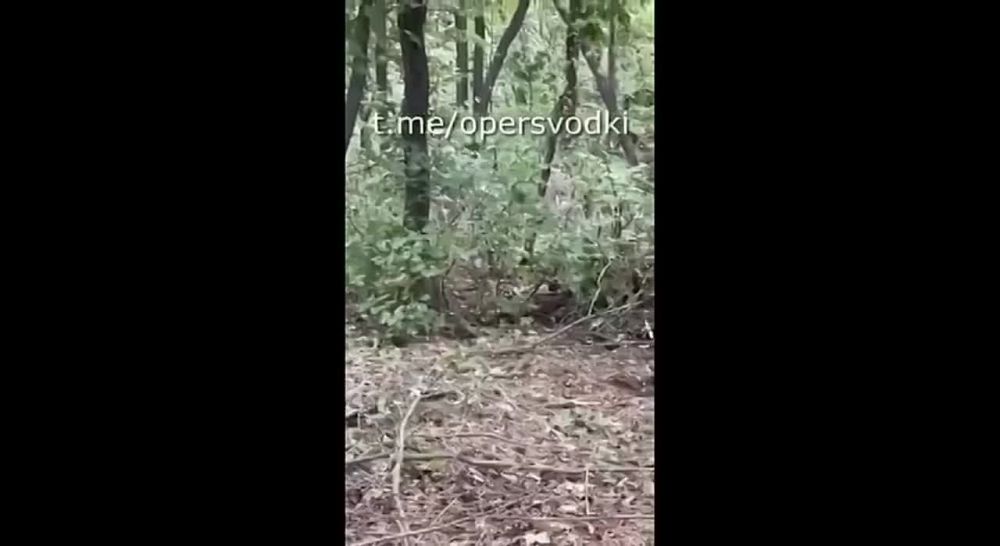 18+ . ��������� ����� ��������� ����� ������� ���������� �������