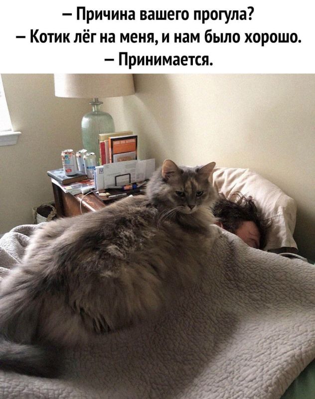 ������� ��� ������������ �������