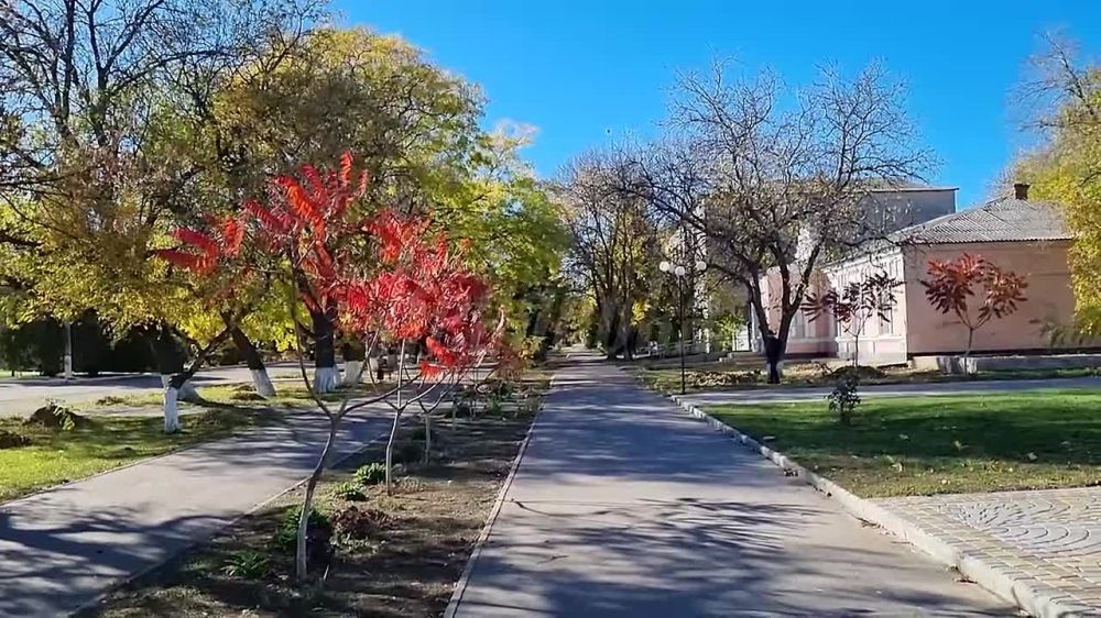 ����� �� ������������� ������ ������������ ������������ ��� ������� �������