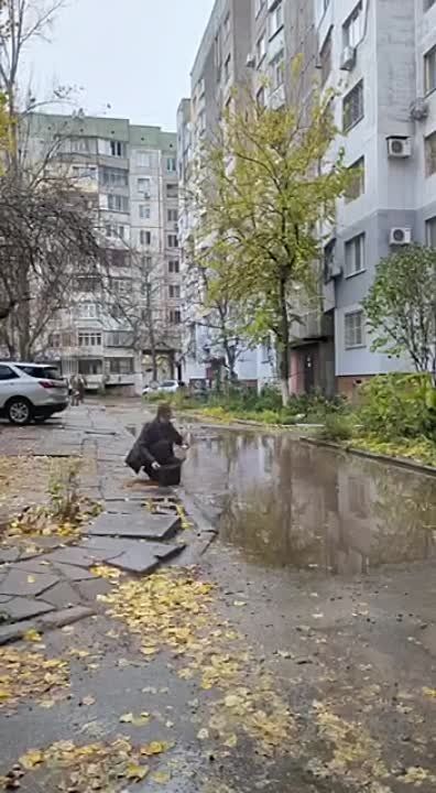 ������ ����� ������