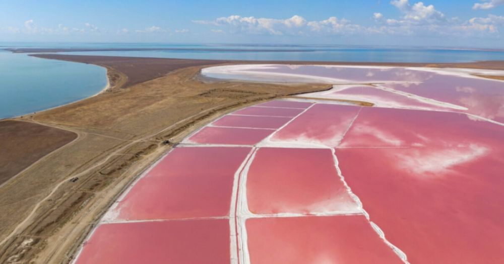 Hersonka �������� ������� ��������������������� ����������� ������