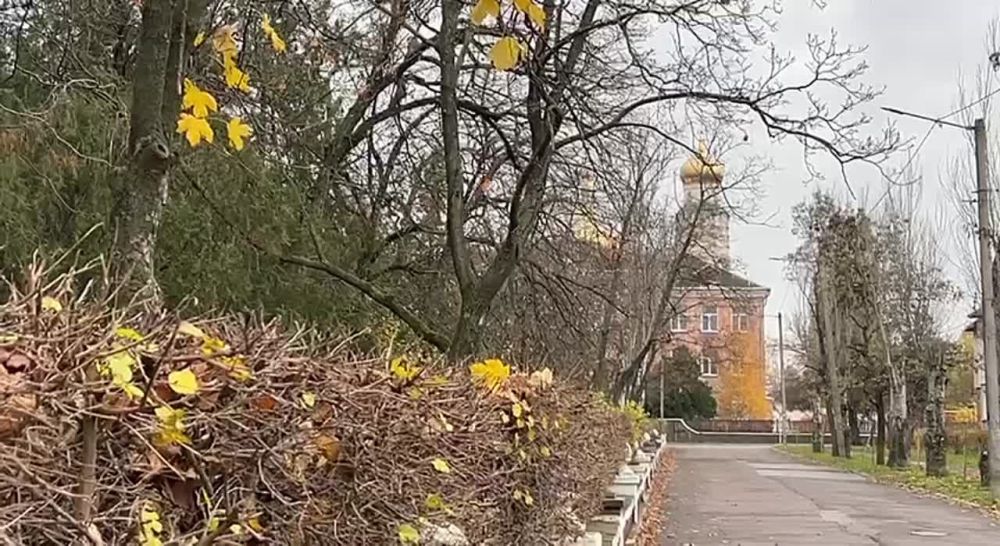 ����� ������� �������. � ������ ������������. ������ ���� ������� �� ����� ������� ����������, ���������� ����������. �������� �������� �� �������� ����������. ��������� ������ � ���������, ��� ��������� �� ���������