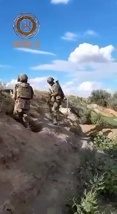 ������ �������: ����������� ��� ������ ����� � ����������� �����������