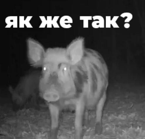 ��� ������������ ���������� ������ ������������ � ��������� ����������, ��� ��� ��� ���������� � ����� ������ ������������� ����������������