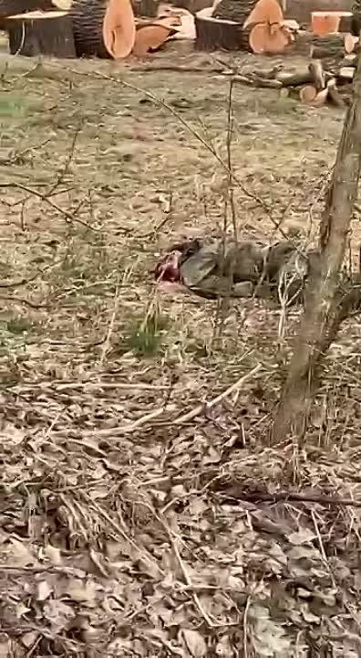 ������� �� ��� ���������� ��������� ���������� �������������