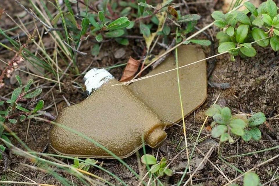 ��� ������������ ����� ����� ������ ������ ���-1 «��������»