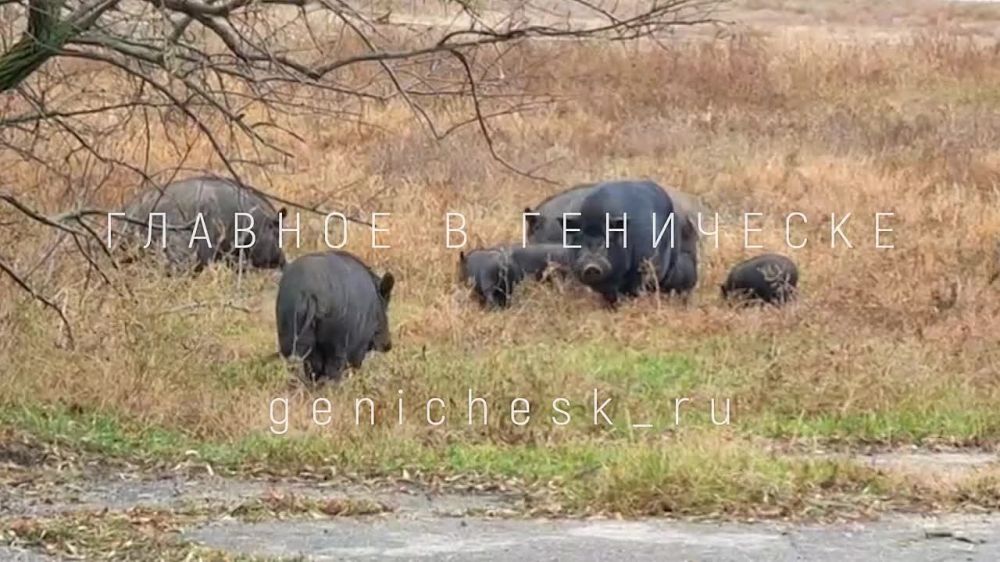 ������ �� ���� ������ ��������!