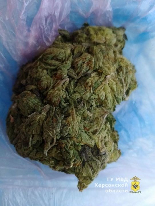 ������ ��������� ������ ��������� � ������� ������ ����