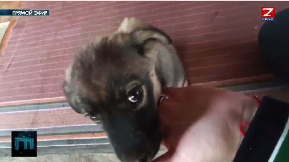 ����� ����������� �������� ������� � ���� �����, �������� ����� � ���������� �������