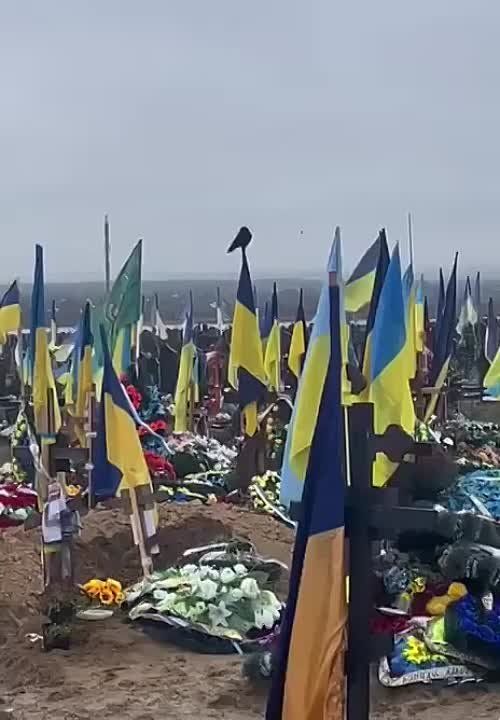 �������� �� ��������� �������