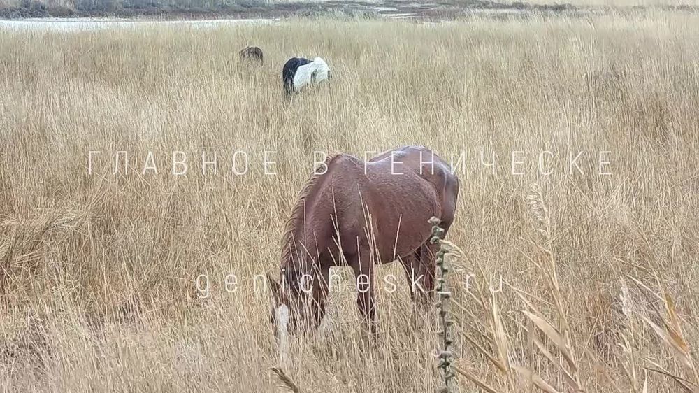 �� ���������� ����� ����� ��������� �� ������ ������� ����������, �� � ��������� �������