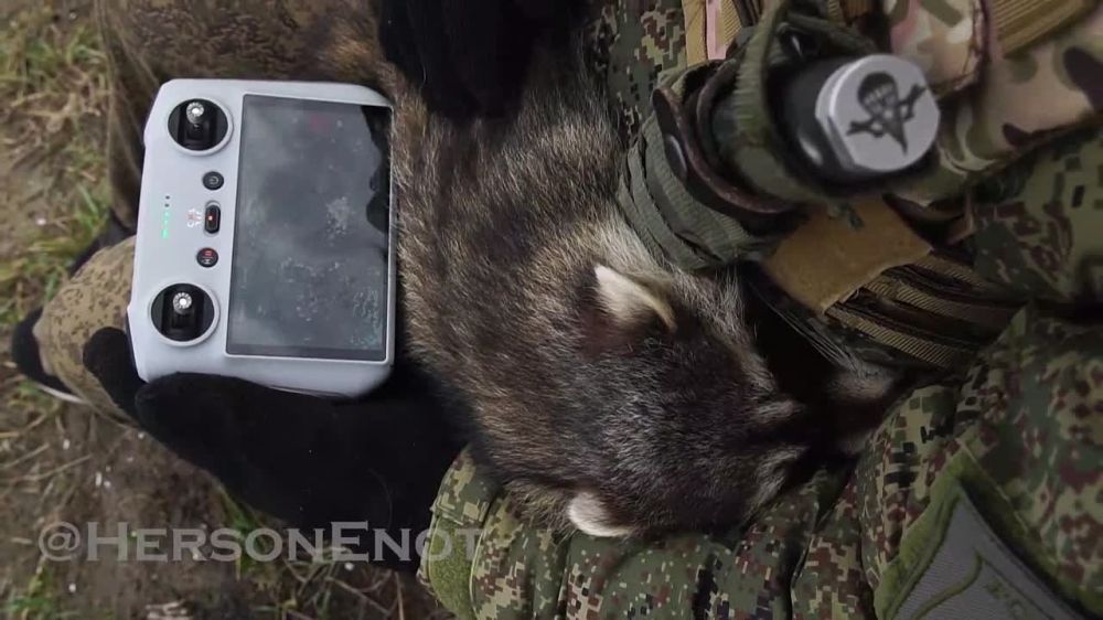 ���� �� �������: ����� ���� ����� ������!