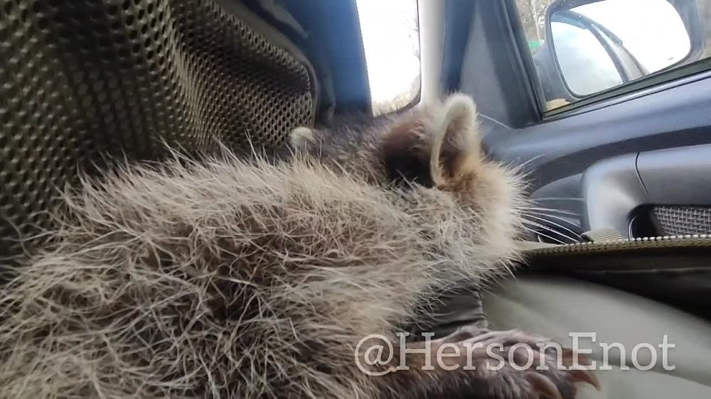 "������ ����������� ����� ��!": ���� �� ������� ��������� � ������������, ������� ������ � ������� � ������