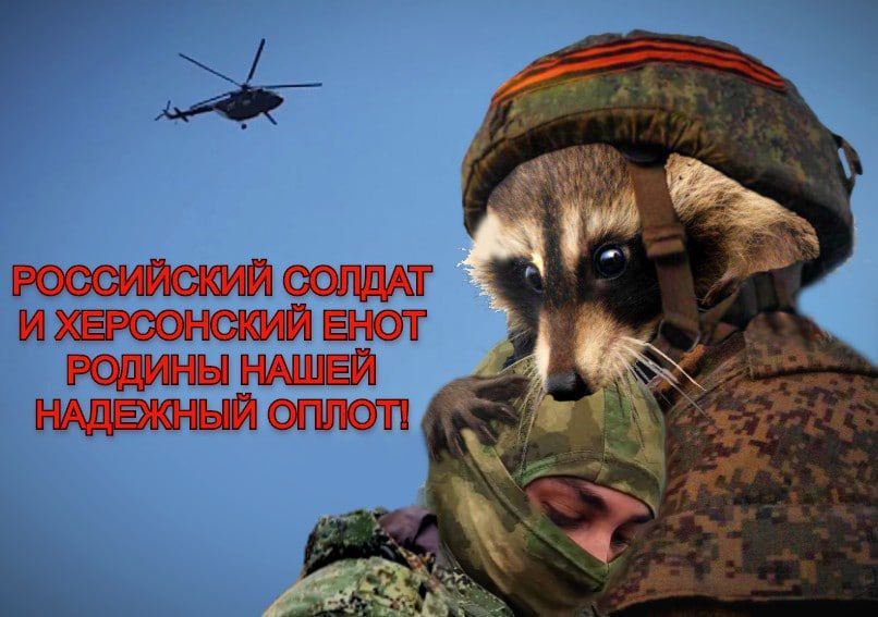 Енот из Херсона: Это очень смешно! Лежим с парнями) Присылайте ещё!