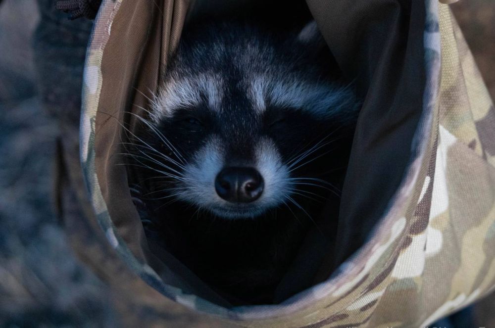 ��������� �������� ���� ������ � ������ ����� ����������� ������� ��������