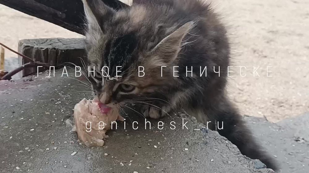 ���������� ���� ��������� �� ���������