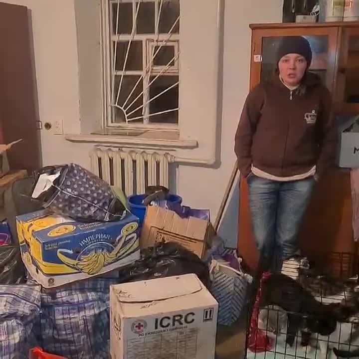 ������� ����������: ������� �������� � ������ ������������