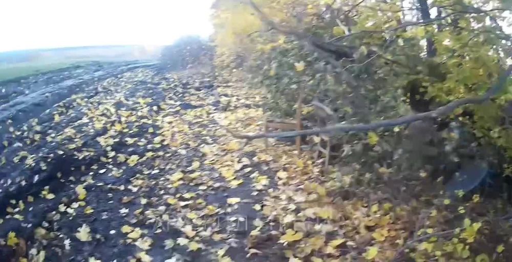 �������� �������� � ������� ���������� ������������� ������� ������� ������������ � ���������� �������