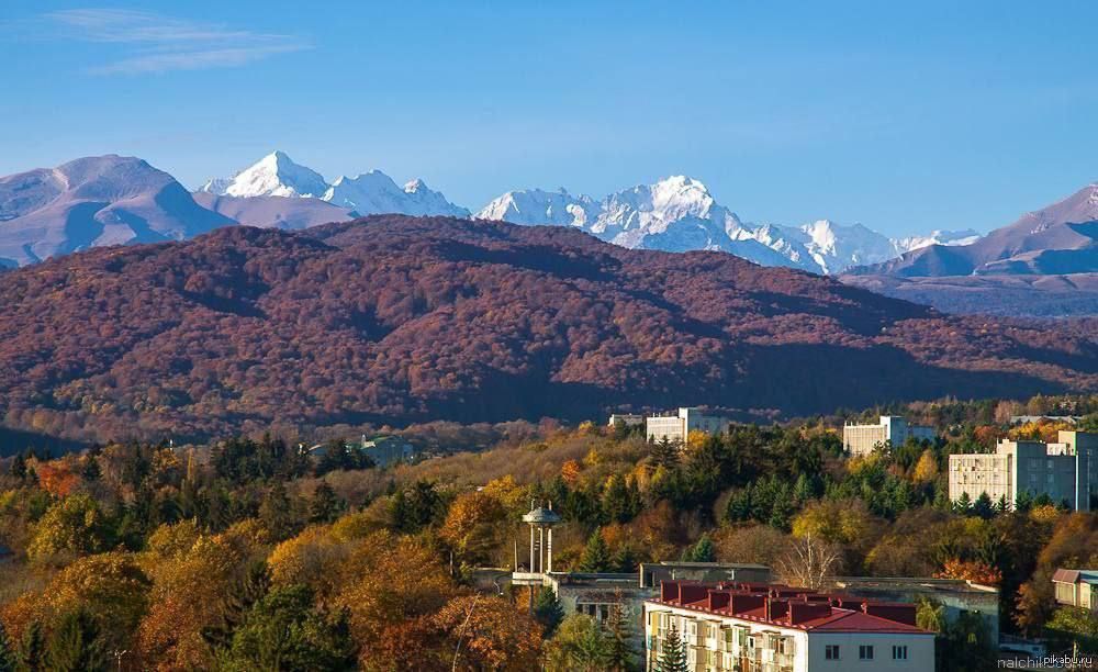 �������������� ������ ������� �����: