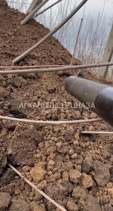 � ������� ��������� ����� ��������� ������� � ������ � ��������� ����, �� ��� ��������� �������������� ��������