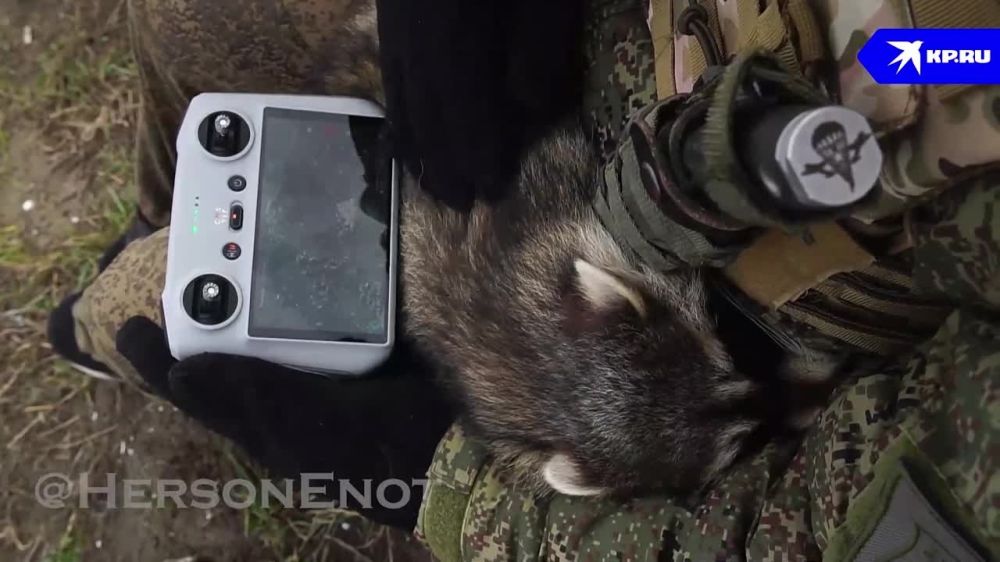 ����-��������� �� ���������