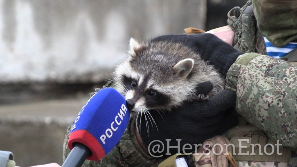 ���� �� �������: � ���� �������� � ������ ���. �� ����� ������ ������, � ��� ��� �������� ��� ������� �� � ��������� �� �������� � �������� ����� @Ratnik2R