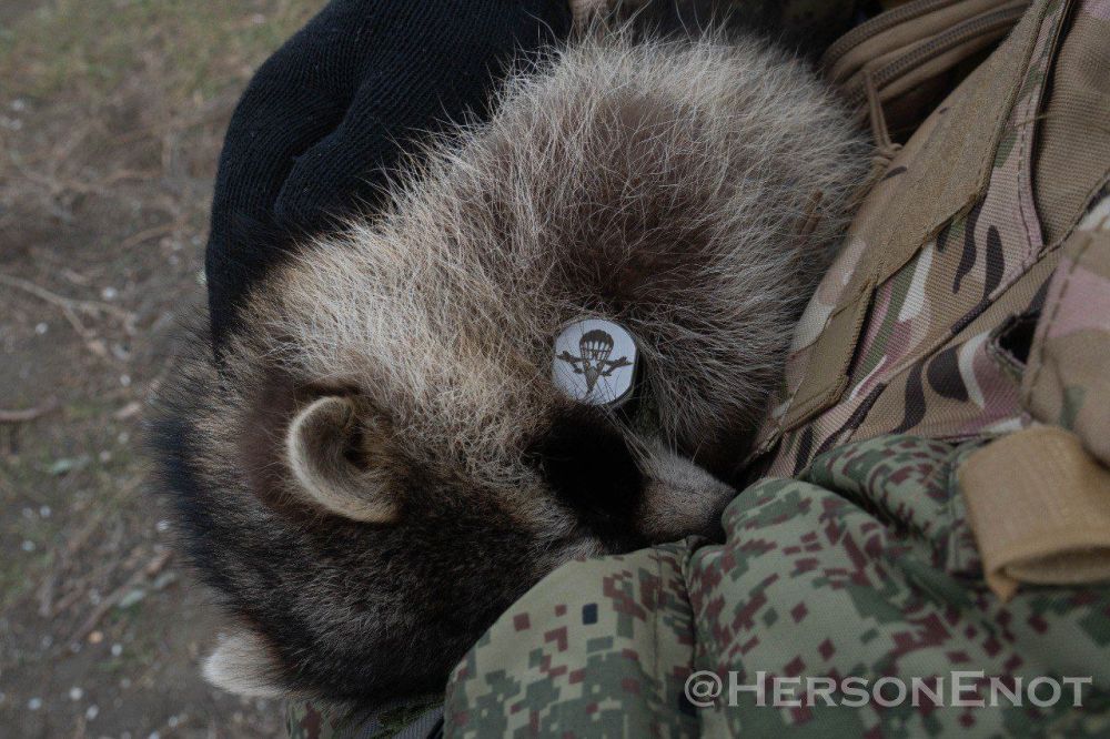 ���� �� �������: ����� ����, � ��� ����������� ��������� �����������: