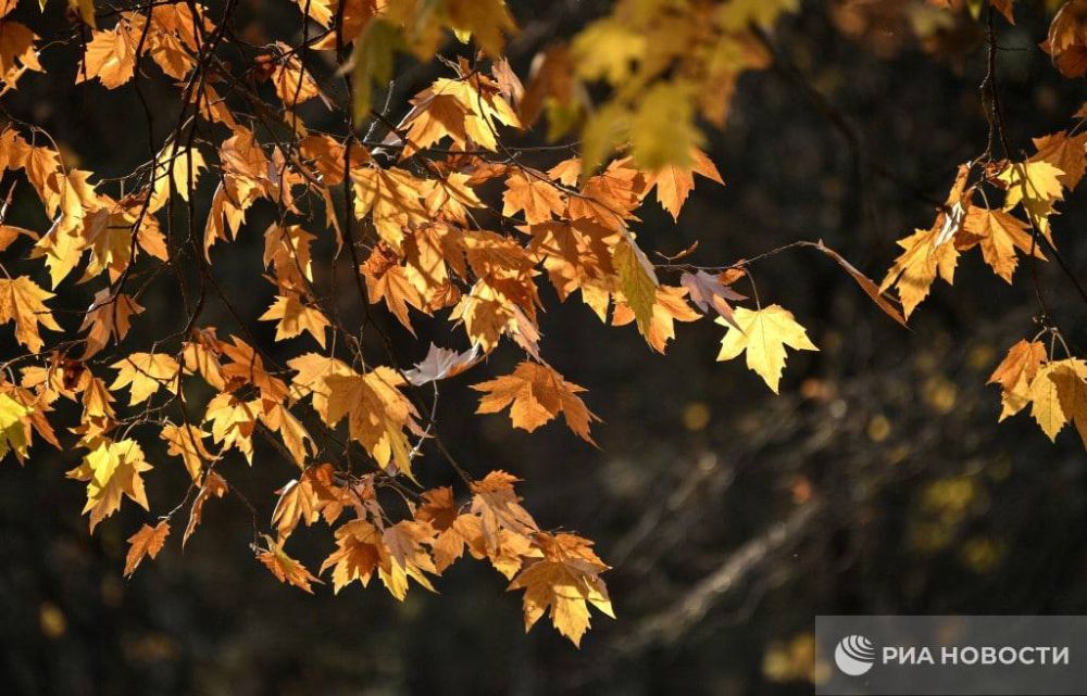 ������ �� ����� ����������� ������