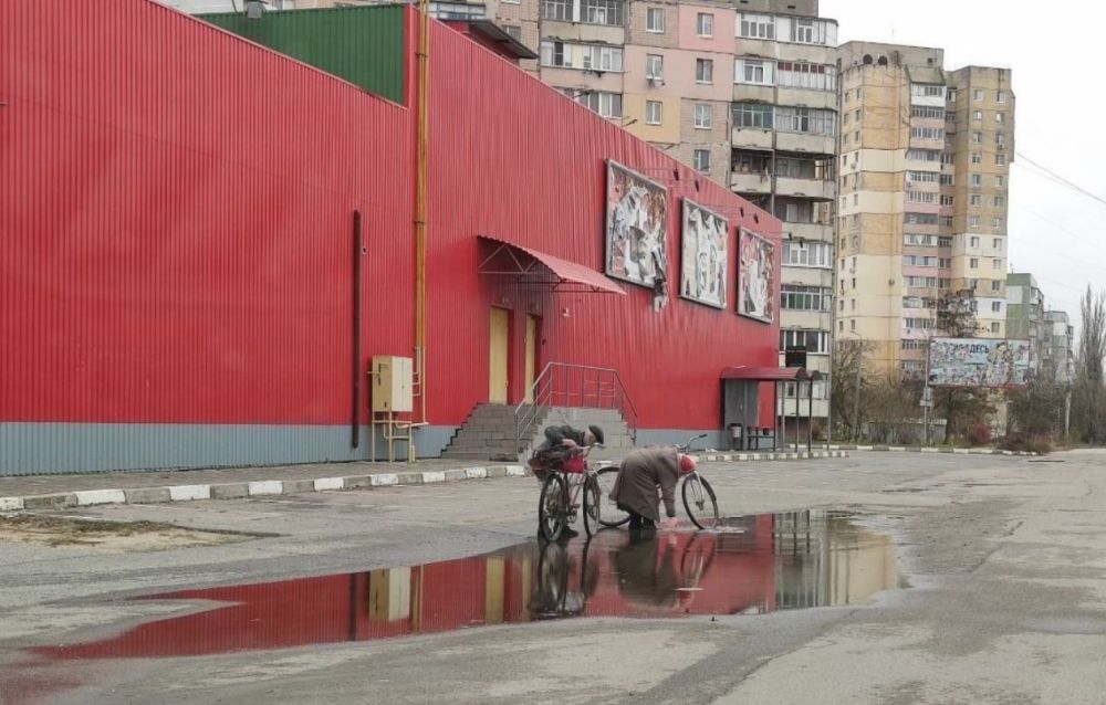 ������� ������������ ���������� ������������� �� ���� ������