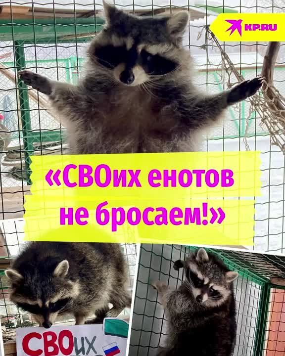 "����� ������ �� �������!"