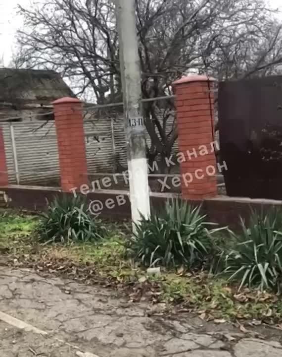 ����������� ������ ������� �� ���������