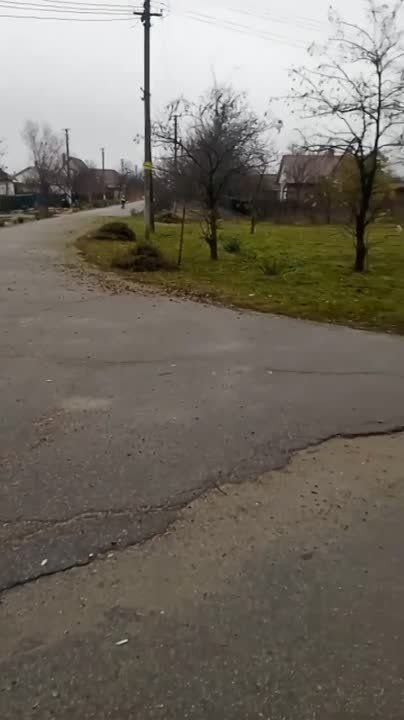 #������#�����#��������