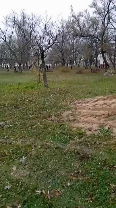 ��������� � ����������