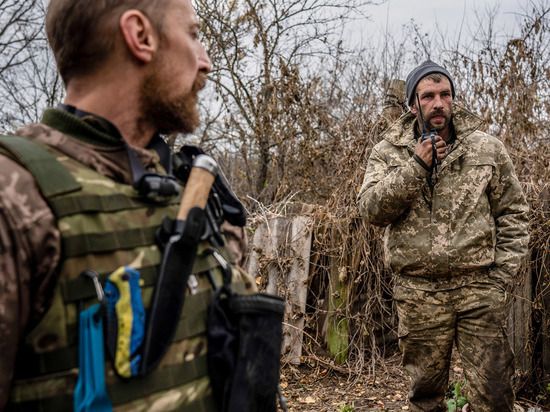 ���������� �������� � �������: ���������� ���� �� �������� ����� �������