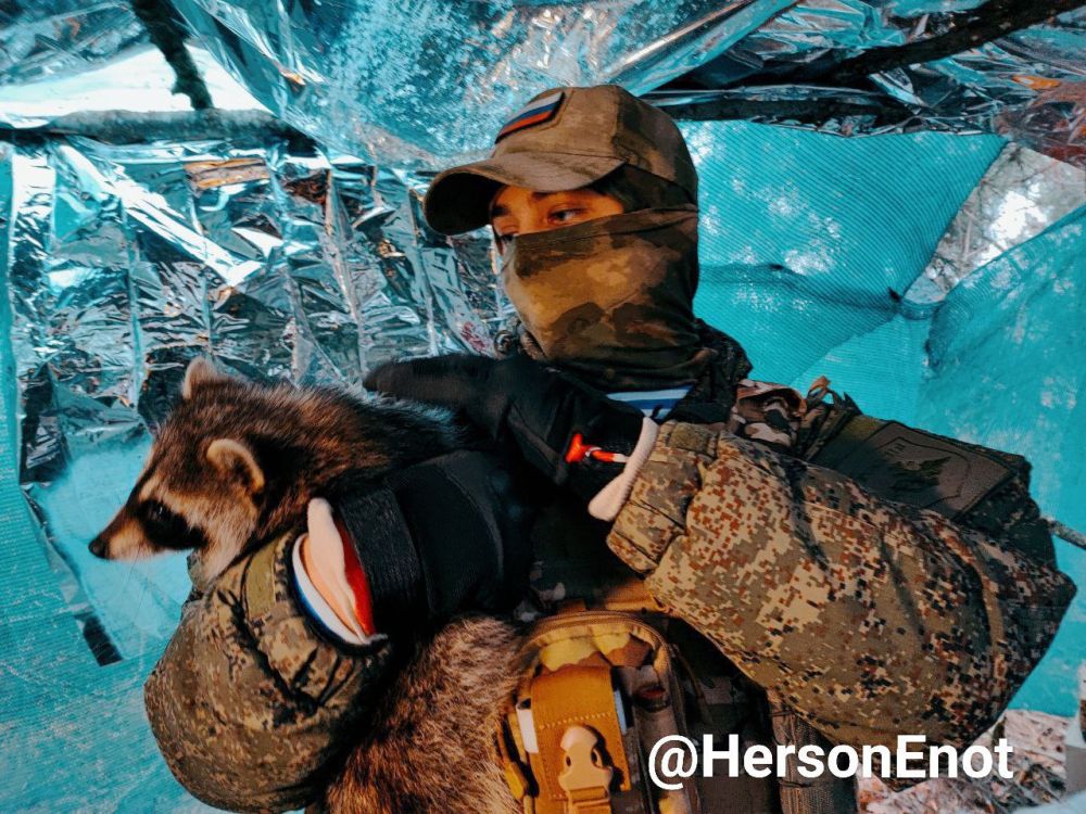 ���� �� �������: ��� 70000. �� ����� ������! ��� �������!