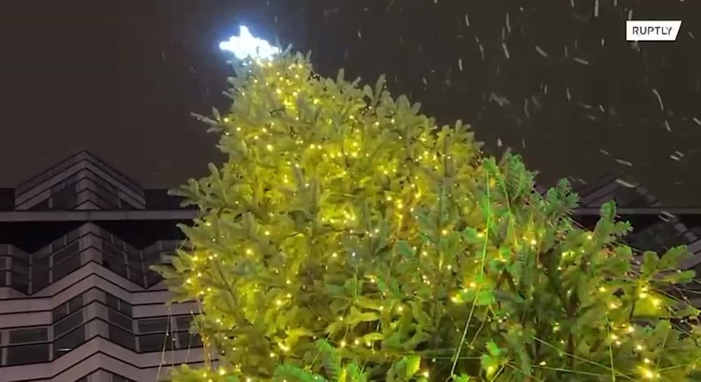 � ������� � ������� ���� ������� ���������� ����