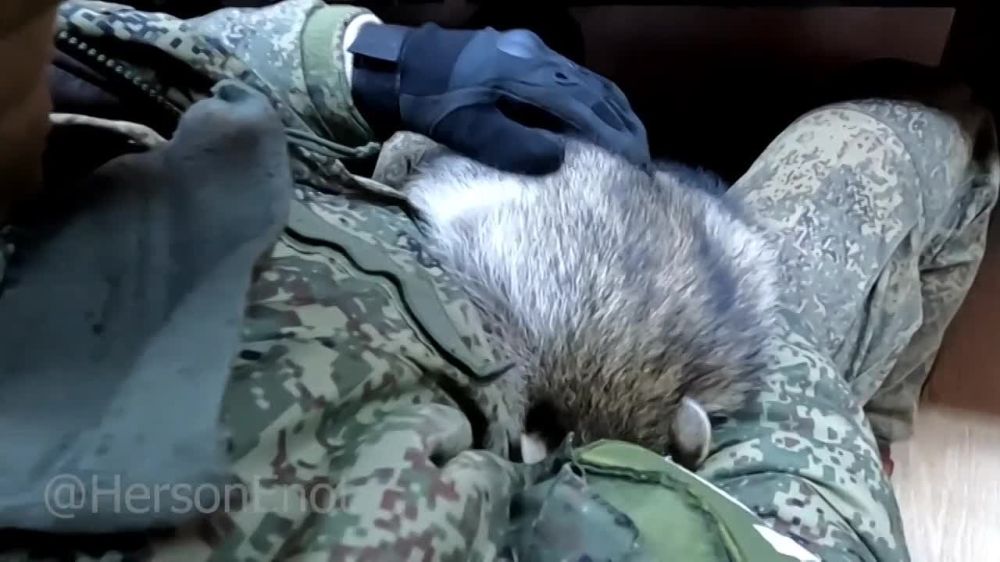 ���� �� ������� ����� ����������� ���������� ������� �������� �����-�����������